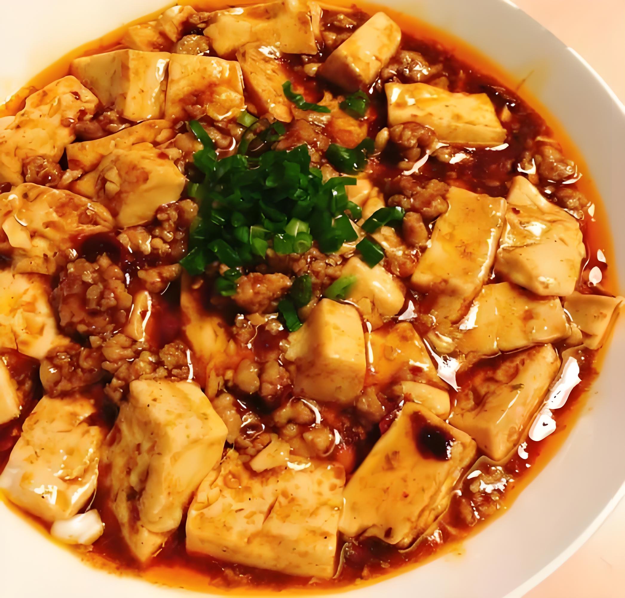 Mapo Tofu (Ma Po Dou Fu)_Sichuan